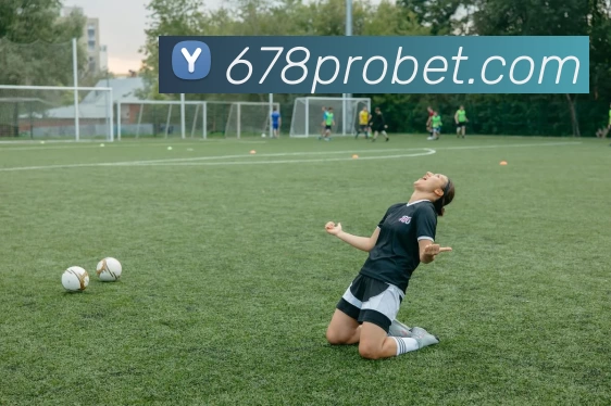 678体育官网发展历程